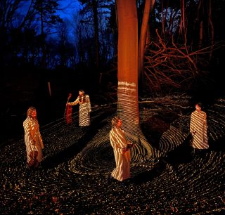 Memories of Trees vierkant beeld – Jurjen Alkema